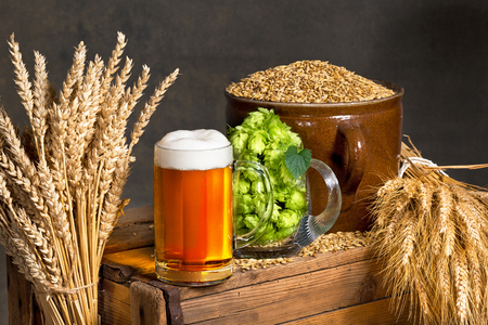 Glass of beer with raw material for beer productionの写真素材