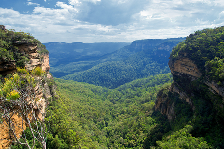 Blue Mountains landscape Summer in Australia.の写真素材
