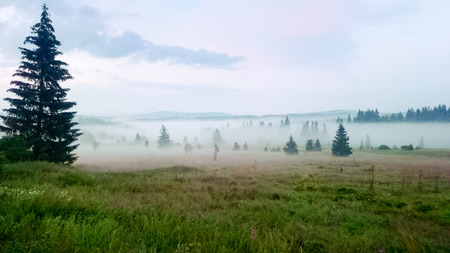 Morning landscape in Bohemian Forest. Czech Republic.の写真素材