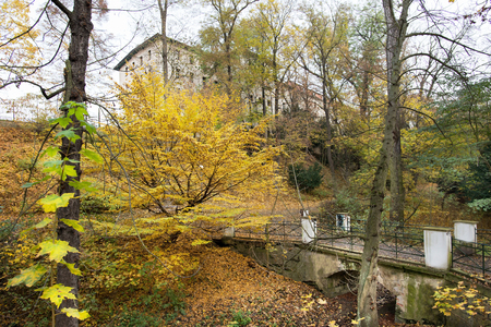 Public park in Zatec park in the autumn. Czech Republic.の写真素材