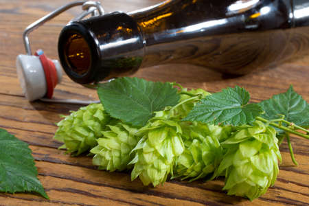 Detail of hop cones and a beer bottleの写真素材