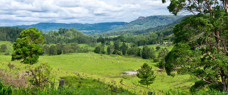 Landscape in Australian hinterland in the summer.の写真素材