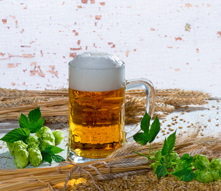 Still life with beer galss, hops and barleyの写真素材