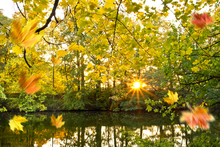 Autumn sceneryの写真素材