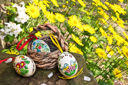 Painted Easter eggs with yellow flowers in the gardenの写真素材