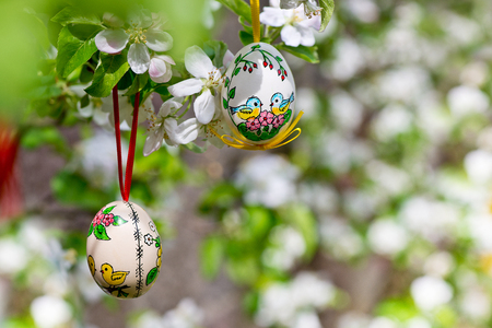 Painted Easter egss hanging on the apple tree in the springtimeの写真素材