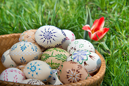 Painted Easter eggs in the garden in the springtimeの写真素材