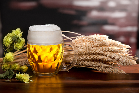 Still life with glass of beer and barleyの写真素材