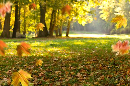 Autumn background. Landscape in the park.の写真素材