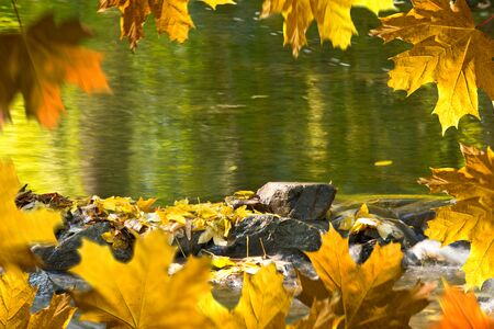 Detail of stones in the creek in the autumn season. Autumn frame.の写真素材