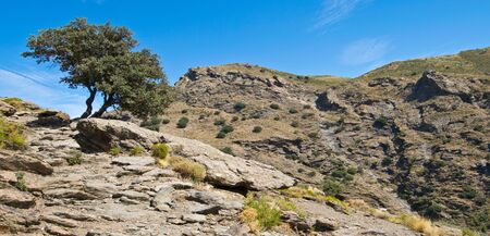 Landscape in Alpujarra in Spain.の写真素材