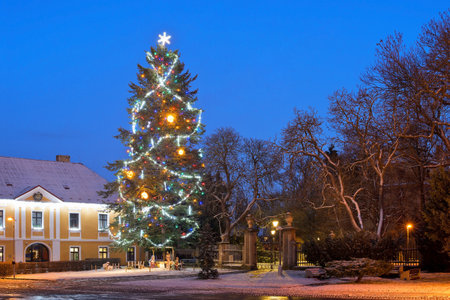 Christmas tree in the night. Postoloprty town. Czech Republic.の写真素材