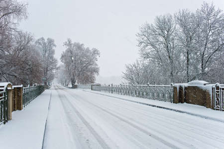 Empty road in the winter.