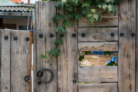 Wooden garden gate  Taken in South Koreaの写真素材