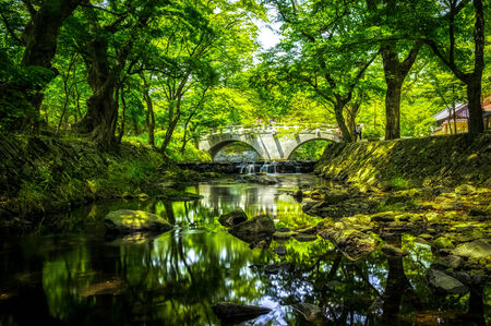 Summer reflections of Seonunsa Temple in South Korea の写真素材