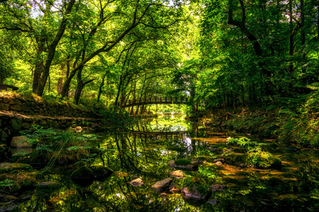 Summer reflections with a wooden bridge. Taken in Baegyangsa, South Koreaの写真素材