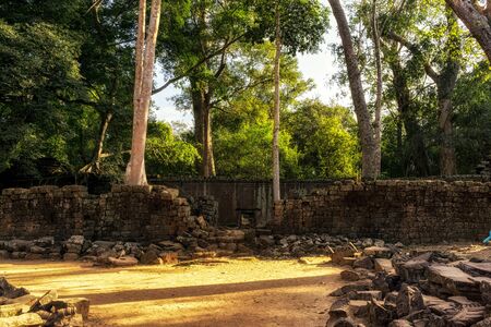 One of many large trees and temple structures in Ta Prohm temple and ruins in Angkor Wat, Siem Reapの写真素材