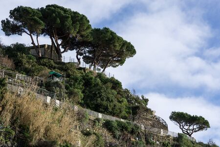 a small winding hiking trail by the hills on riomaggiore viewed from the train station.の写真素材