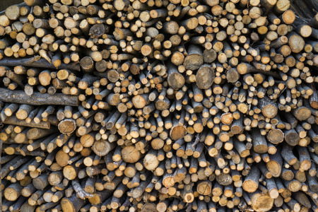stacked rows of firewood in a small countryside korean house in Ganenung, South Korea.の写真素材