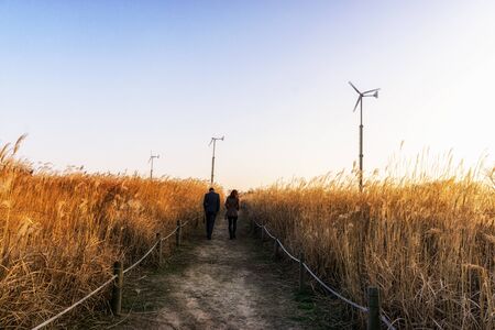 a couple strolling through wild reeds and wind turbines on top of haneul park in seoul, south korea...