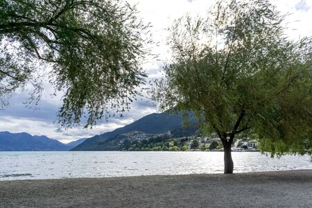 lake wakatipu view of willow tree from queenstown lakeside beach area. Queenstown is a small town in new zealand. Taken during summerの写真素材
