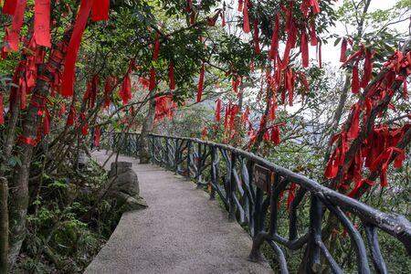 red ribbons hanging around the tree branches along the walkways of tianmen mountain in zhangjiajie chinaの写真素材