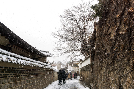 a large tree in bukchon hanok village in seoul south korea with tourists nearby. Taken in winter during a snow stormの写真素材