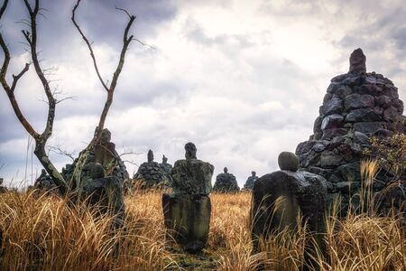 bangsataps among the tall grasses in jeju stone park in south koreaの写真素材