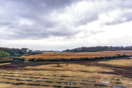 jeju stone park grassland view during winter in jeju island, south koreaの写真素材