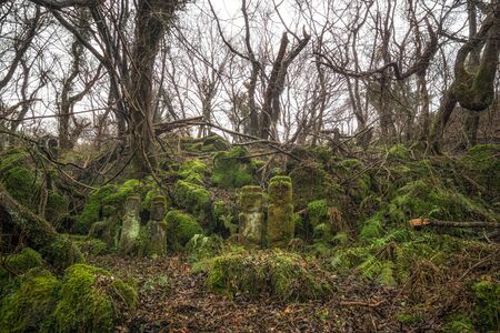 dongjaseok, child looking grave stone, in jeju stone park, south koreaの写真素材