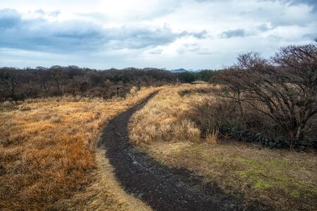 wild grasslands in jeju stone park with a dark pathway in the middle. Taken in Jeju Island, South Koreaの写真素材