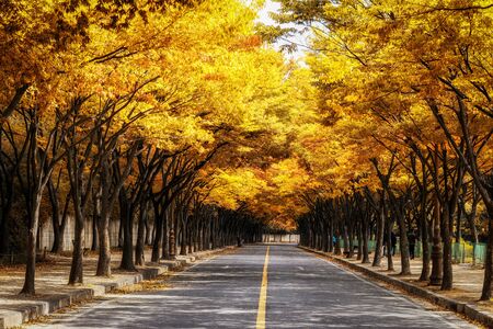 A family riding bikes down the Incheon grand park bike road in South Korea.の写真素材