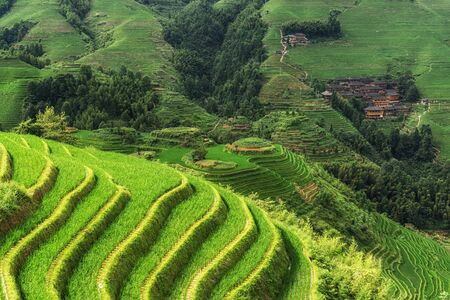 The longji rice terrace viewed from the viewpoint number 2 thousand layers to the heaven. Longsheng,...