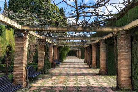 Vines and hedges surrounding the small pathway in Generalife gardenの写真素材