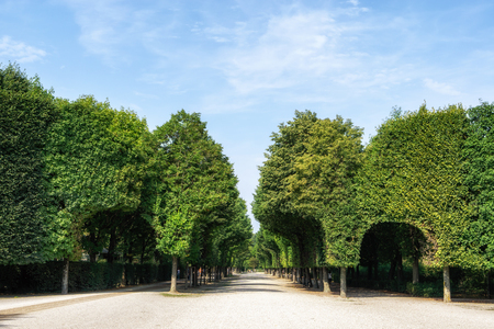 schonbrunn palace park garden rows of trees lined up. Taken in Vienna, Austriaのeditorial素材