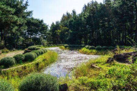 semiwon garden guksawon area with a small pond.の写真素材