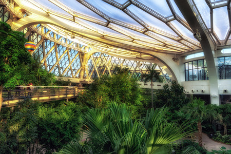 tropical section of the seoul botanic park viewed from the elevated sky walkway. Taken in Seoul, South Koreaのeditorial素材