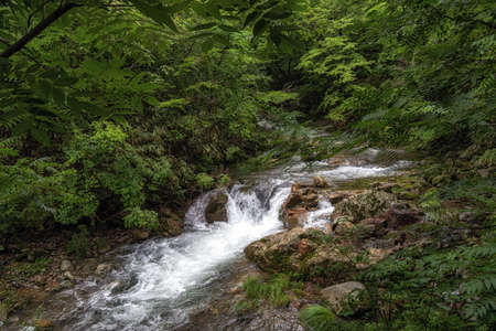 Suncheon Jogyesan Mountain creek taken near Seonamsa temple. Suncheon, Sotuh Korea