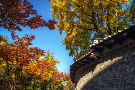 deoksugung doldam gil or deoksugung stonewall walkway covered and surrounded in autumn fall foliage colors. Taken in Seoul, South Koreaの写真素材