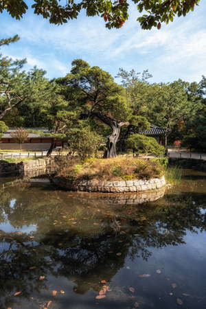 Autumn fall foliage leaves resting on top of Jongmyo shrine in Seoul, South Koreaの写真素材
