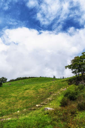 Daegwallyeong sheep farm is a famous tourist attraction between Gangneung and Pyeongchang in South Koreaの写真素材
