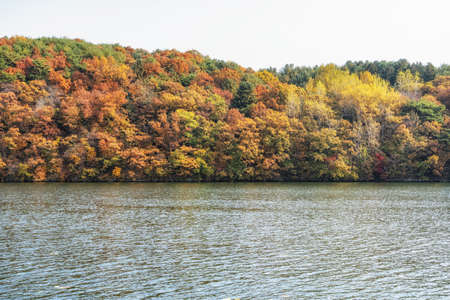Autumn leaf colors near Bukhangang river viewed from Nami Island, South Koreaの写真素材