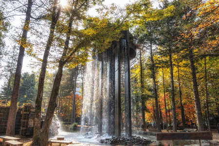 Elysian Waterfall in Nami Island surrounded by autumn foliage.の写真素材