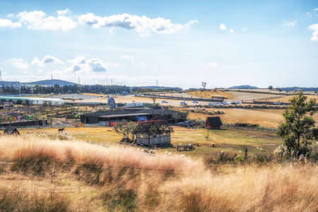 View of Heyyo Farm in Saebyeol Oreum taken during autum season with tall silver grass. Taken in Jeju, South Koreaの写真素材