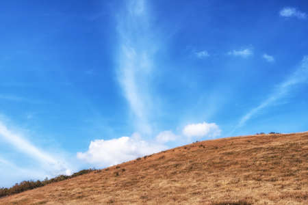 Field of tall silver grass with autumn colors in Saebyeol Oreum, Jeju, South Koreaの写真素材