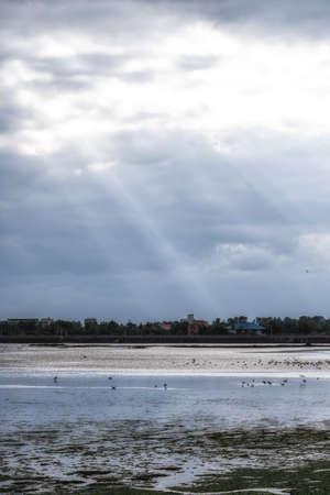 Mudflat near Seongsan area of Jeju Island taken during morning sunrays