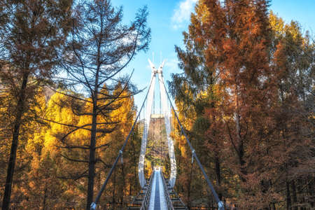 A single suspension bridge in Jangtaesan Recreational Forest in Daejeon, South Korea surrounded in autumn colorsの写真素材