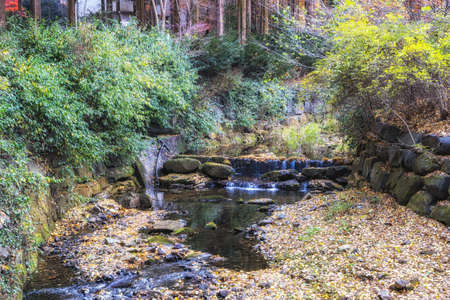 A small creek running through Jangtaesan Recreational Forest in Daejeon, South Korea. Taken during...