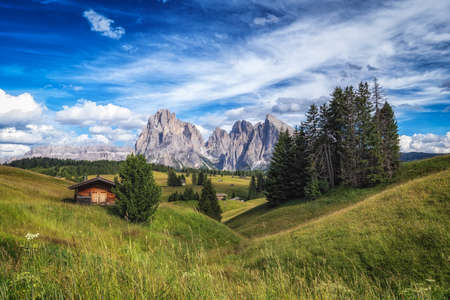 Alpe di siuss or seiser alm alpine meadows view with langkofel mountains in the background. Taken in Dolomites, Italyの写真素材
