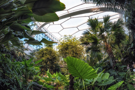 Main conservatory building with various flora and plants on display. Taken in Seoul Botanic Park in Seoul, South Koreaの写真素材